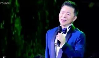 王宏伟再见了大别山