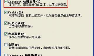 ie缓存清理