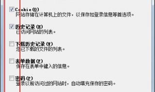 ie缓存清理