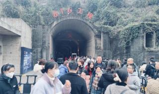 2023兔最火背景图片